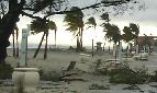 HURRICANE DAMAGE